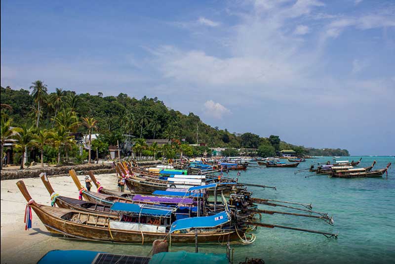 dao-phi-phi